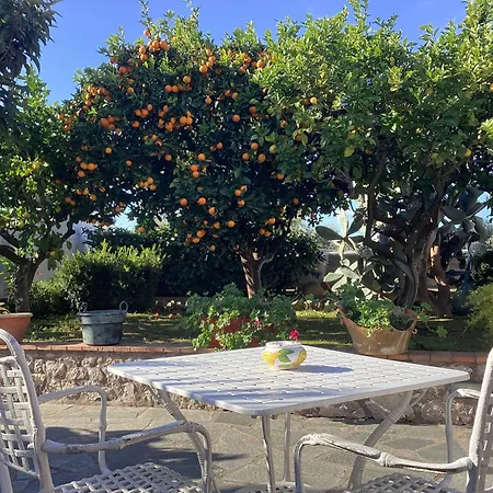 Casetta Minghitto Relaxing rooms in Capri-3